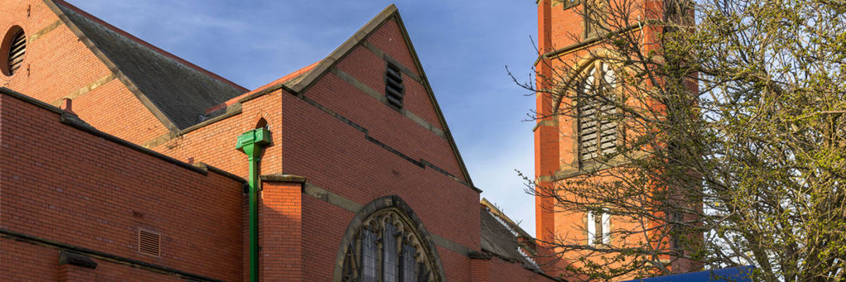 Cropped Banner Image